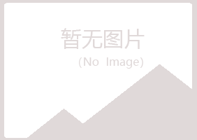 伊春新青紫山服务有限公司